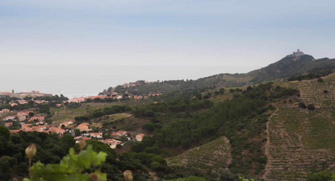 Gite Rez De Chaussee Entre Mer Et Montagne Collioure Exterior photo