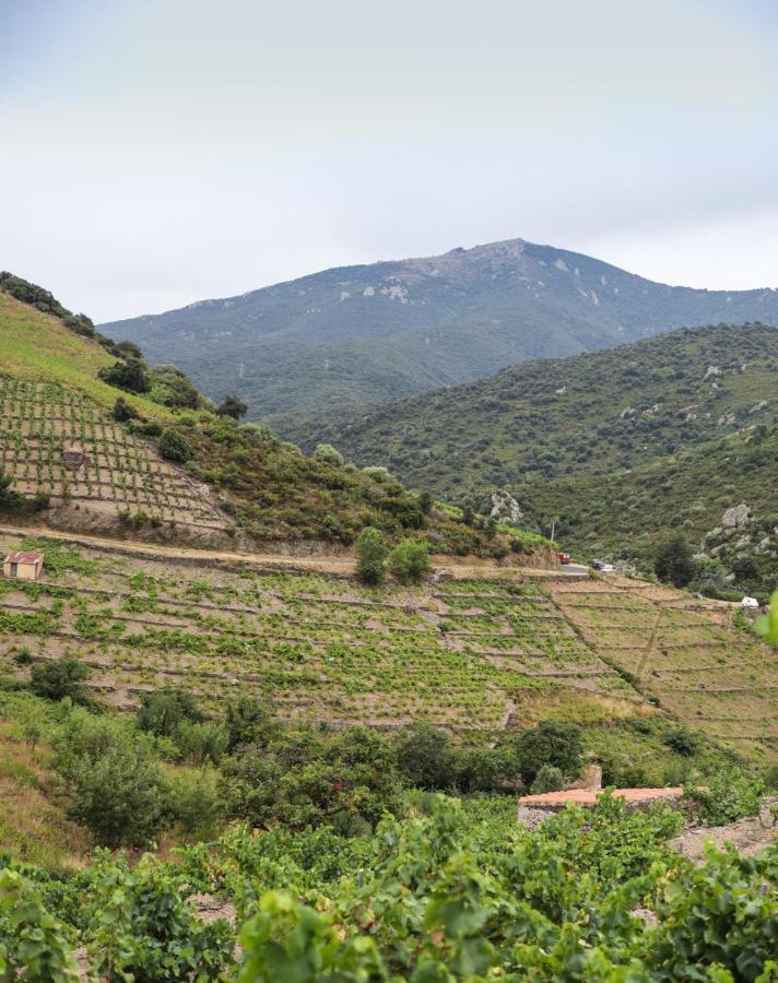 Gite Rez De Chaussee Entre Mer Et Montagne Collioure Exterior photo